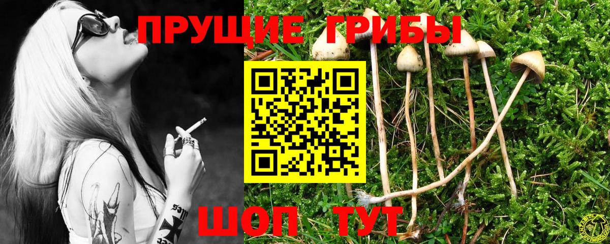 Псилоцибиновые грибы прущие грибы Кондопога