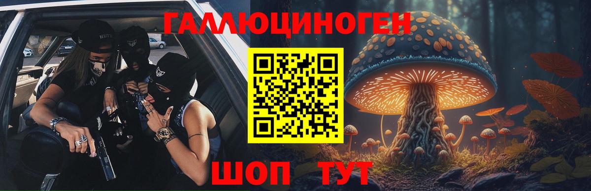 Кондопога  Галлюциногенные грибы прущие грибы  Вход с VPN  купить наркоту  Галлюциногенные грибы Psilocybe 